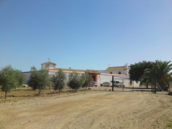 Cortijo_Molino_de_la_Palma