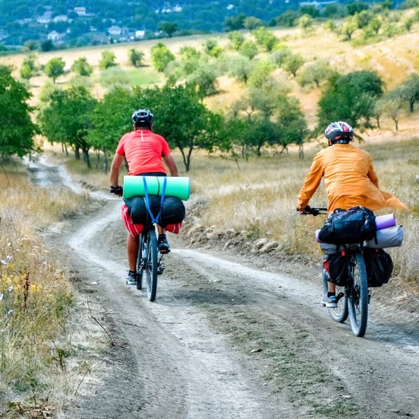 dos-ciclistas-cascos-bicicletas-llenas-cosas-viajero-moviendose-carretera-traves-arboles-verdes-raros