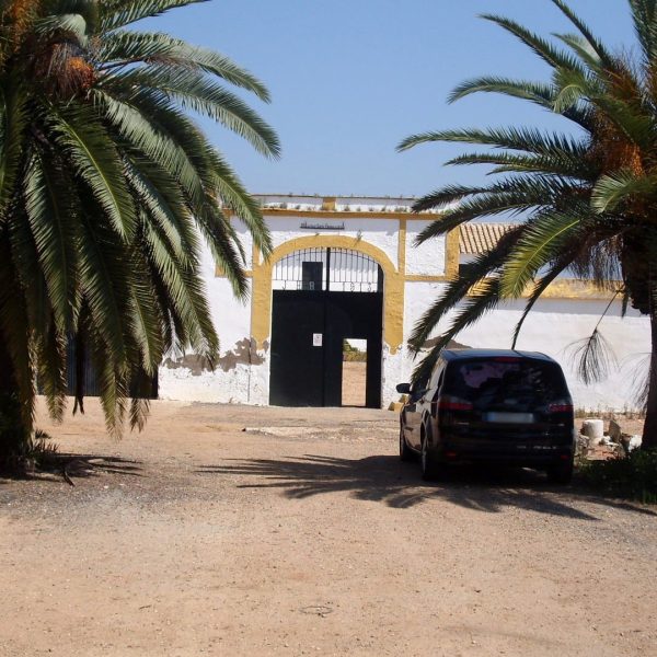 molino san francisco